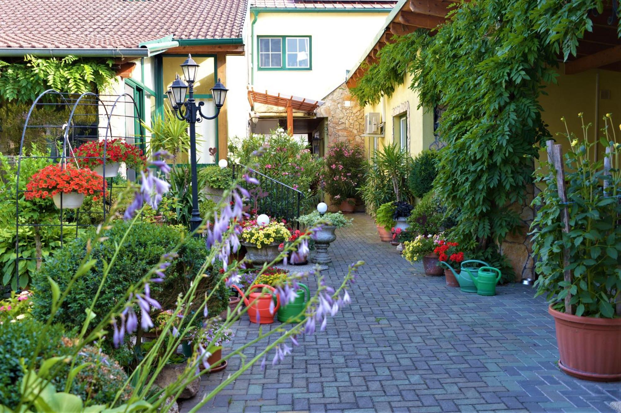 Ferienwohnung Koppi Pamhagen Εξωτερικό φωτογραφία