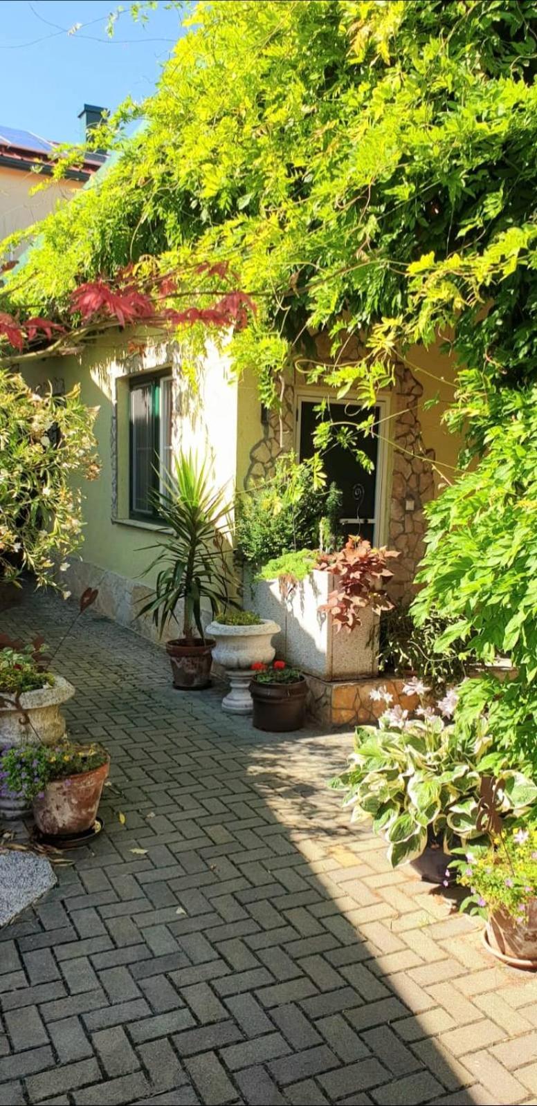 Ferienwohnung Koppi Pamhagen Εξωτερικό φωτογραφία