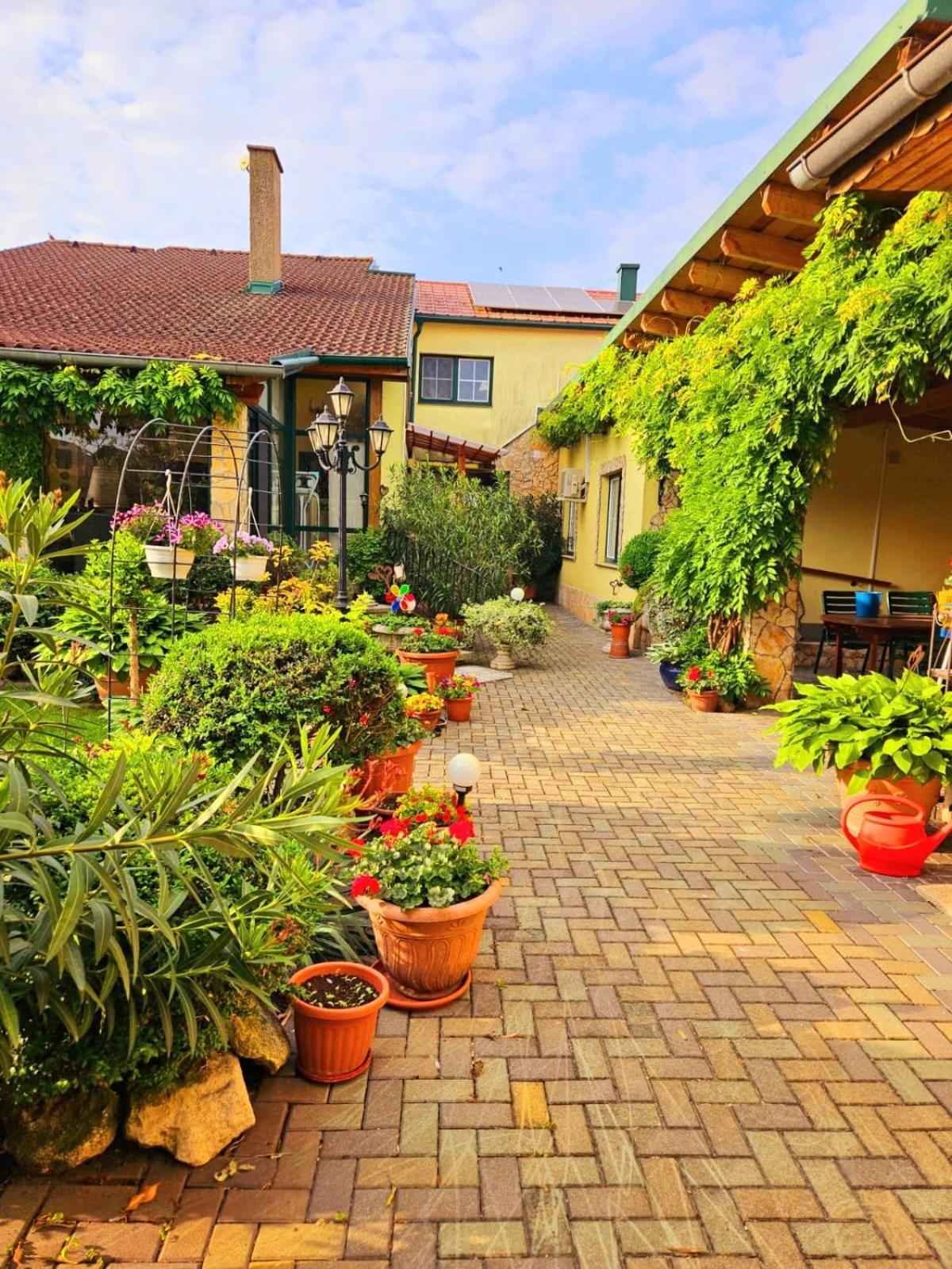 Ferienwohnung Koppi Pamhagen Εξωτερικό φωτογραφία