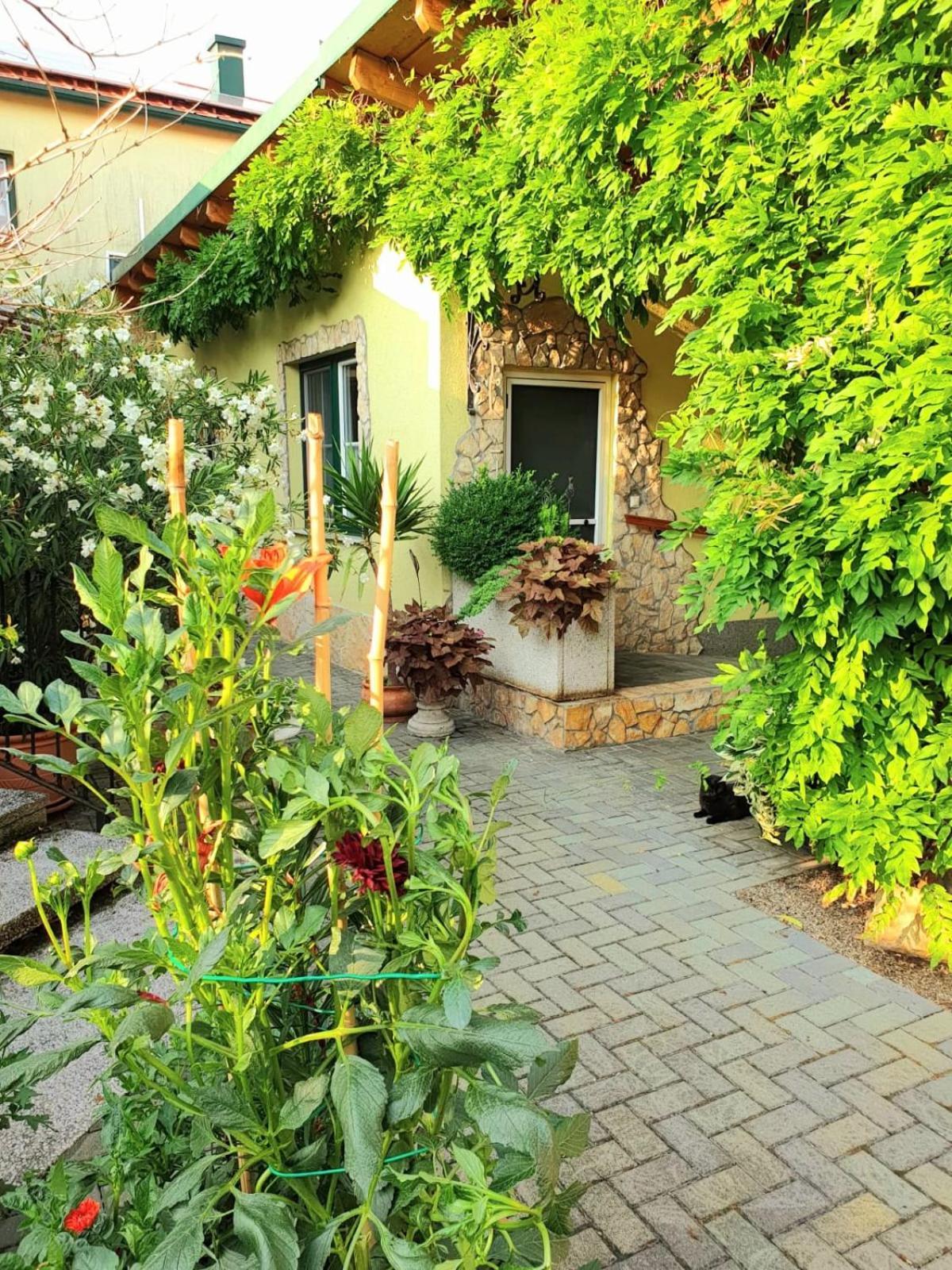 Ferienwohnung Koppi Pamhagen Εξωτερικό φωτογραφία