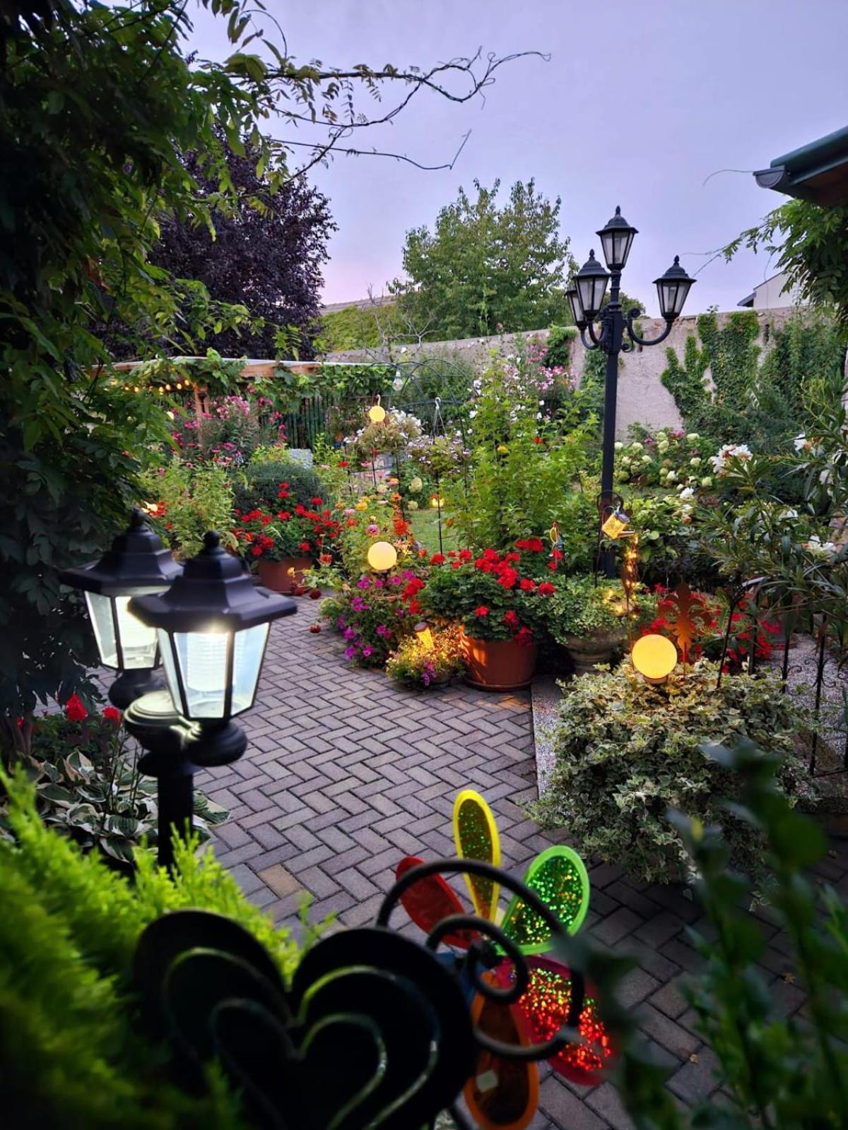 Ferienwohnung Koppi Pamhagen Εξωτερικό φωτογραφία