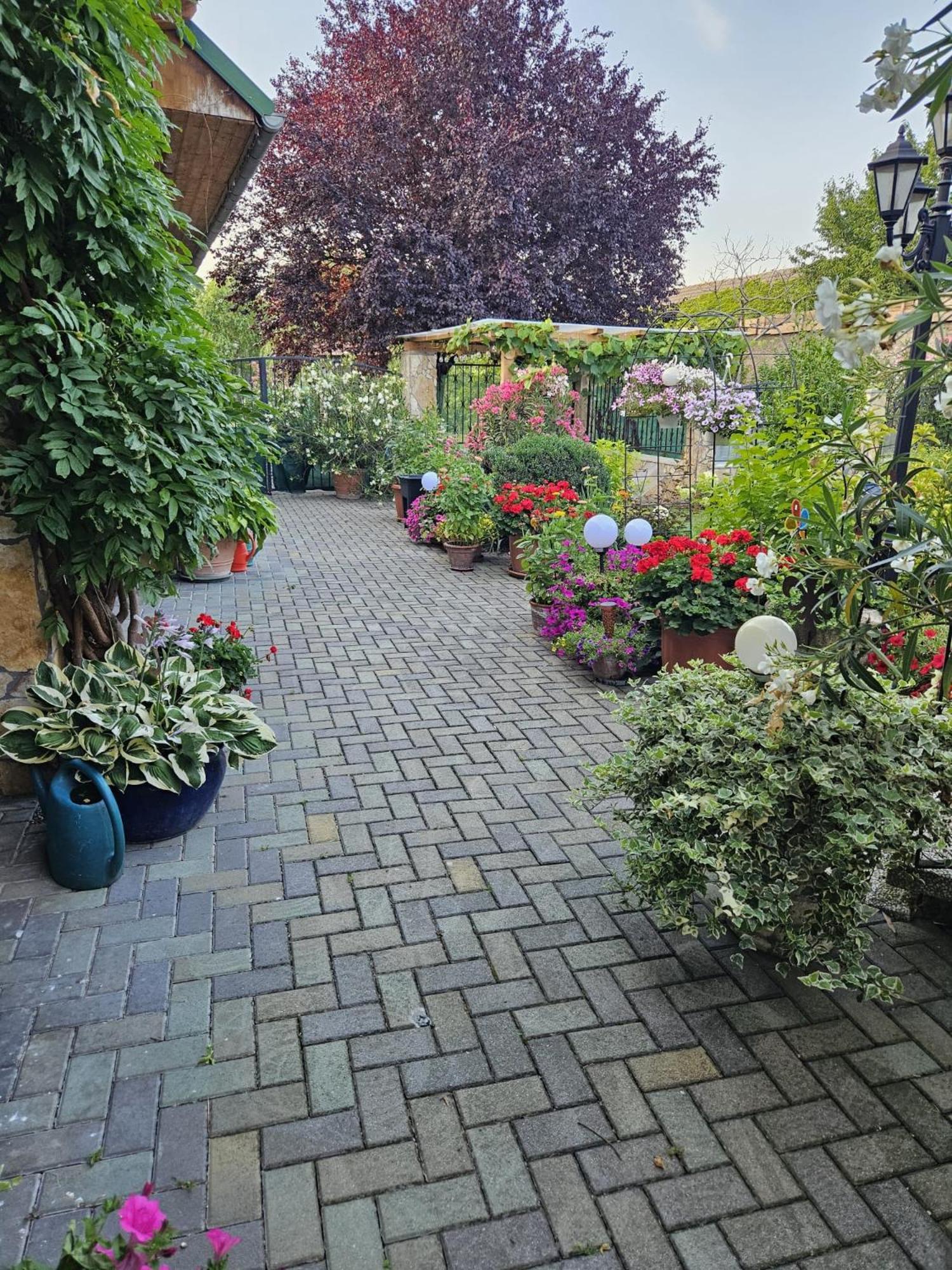 Ferienwohnung Koppi Pamhagen Εξωτερικό φωτογραφία
